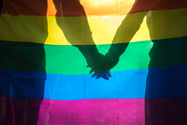 istock Happy lesbian couple holding hands over rainbow flag background 641223016