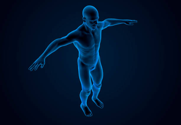 istock X-Ray Human Body Of A Man 641225584