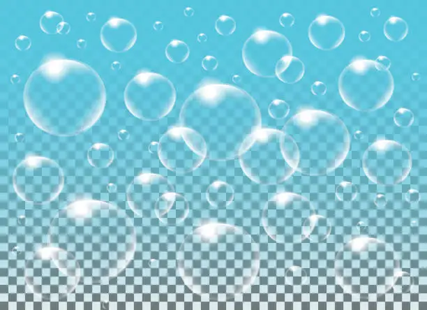 Vector illustration of Realistic vector isolated Soap Bubbles vor decoration