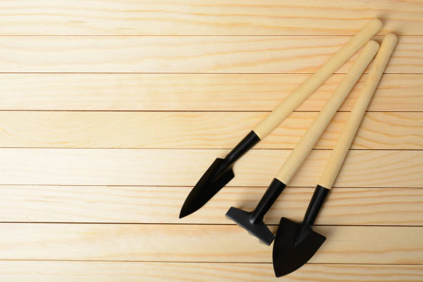 istock Two little shovels and rake 641228704