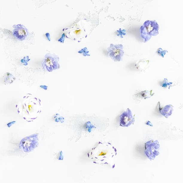 istock Frame made of lilac flowers. Flat lay, top view, square 641231200