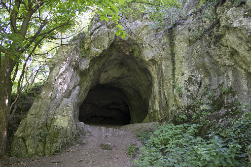 Enter the cave in the woods