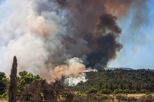 Forest Fire at Angol, Bio Bio Region, Chile.