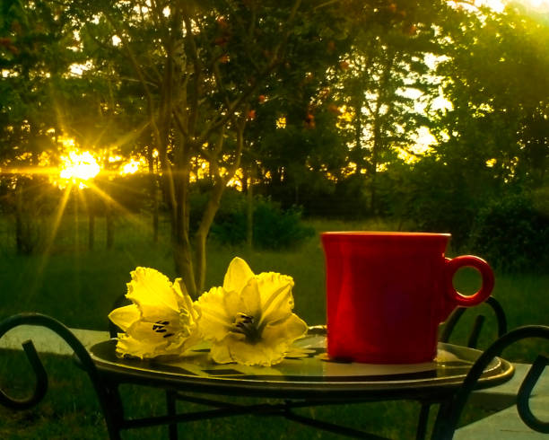 Morning Coffee