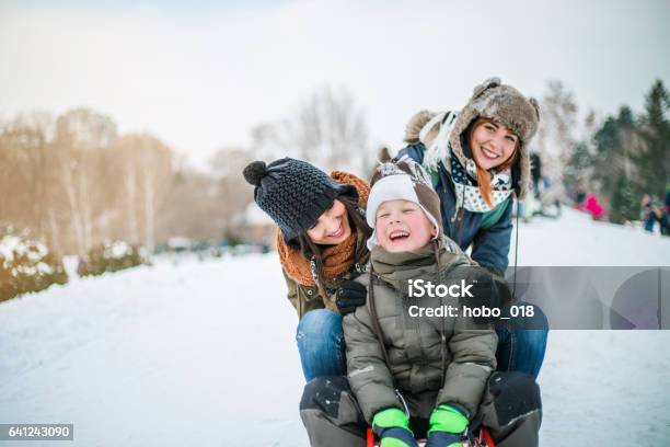 Diversión De Invierno Trineos En Invierno Foto de stock y más banco de imágenes de Familia - Familia, Invierno, Deslizarse en trineo