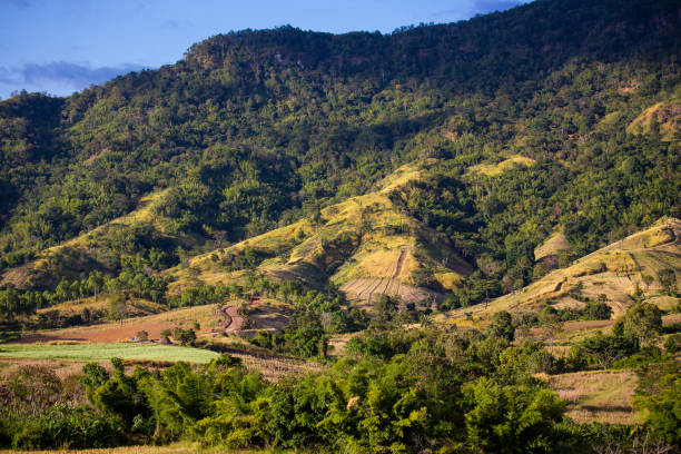 istock Wonderfull top hill lanscape in Thailand 641246402