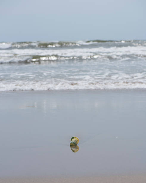 A plastic container, perhaps for yogurt or some kind of drink, washes up on the beach in Kuta, Bali. Plastic trash in the sea is a global problem, particularly in countries like Indonesia with large populations.
