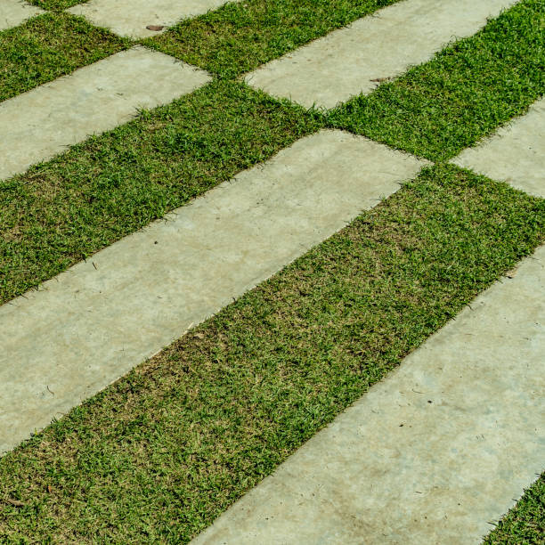 istock Concrete pathway with green grass in the park 641249338