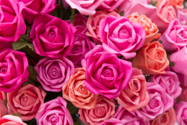 istock Close-up of the artificial pink roses flower. 641255720