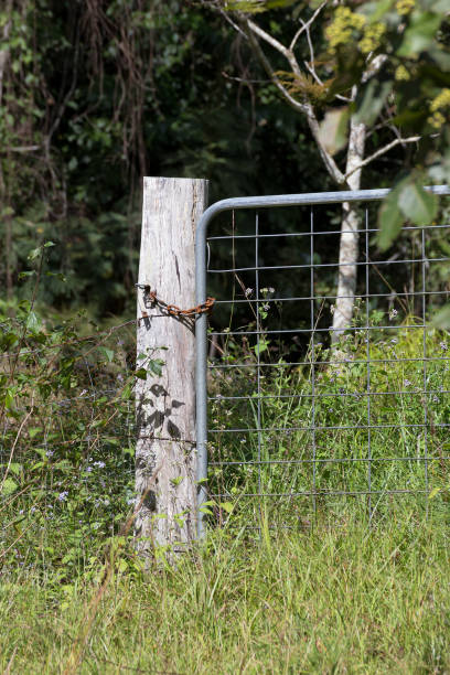 istock Gate on rural property near Kuranda 641256630