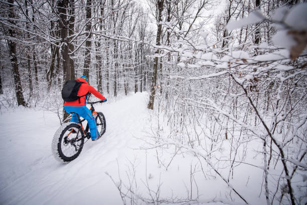 istock Bicycle rider in the forest 641257282