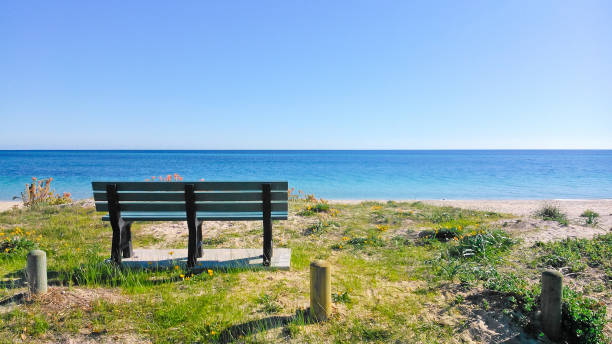 istock Wooden bench by the beach 641260532