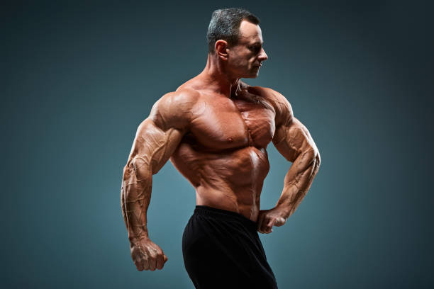 torso des attraktiven männlichen bodybuilder auf grauem hintergrund - body building men flexing muscles male stock-fotos und bilder