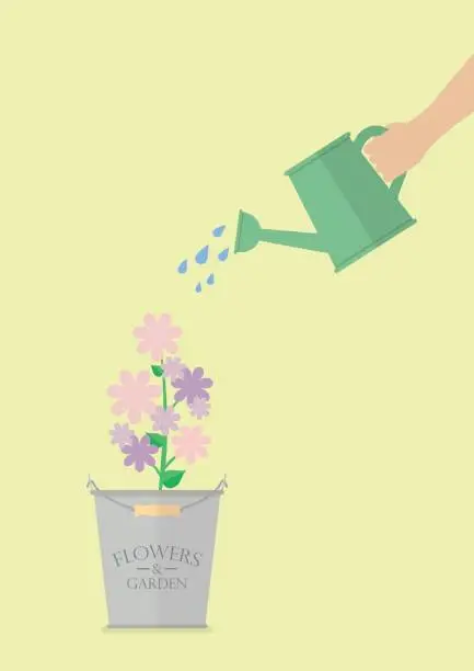 Vector illustration of Hand watering flower in pot