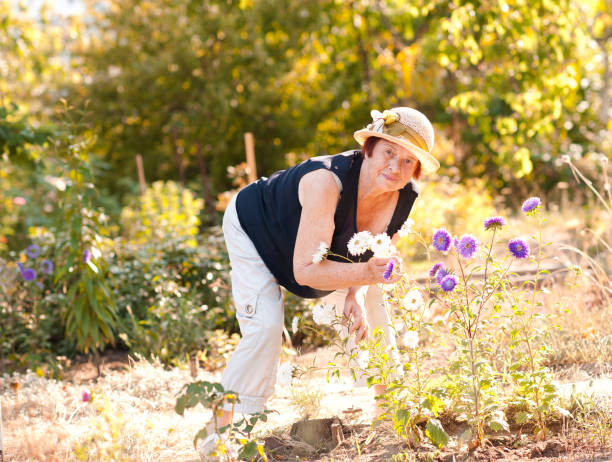 istock Elderly woman gardening 641264152