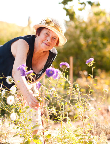 istock ELderly woman gardening 641264156