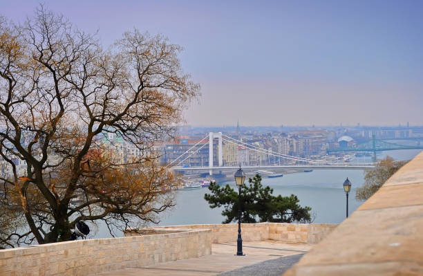 View on the Elisabeth Bridge, river Danube and surrounding houses in Pest on a winter day. Huge leafless tree near an alley leading to the waterfront. Budapest
