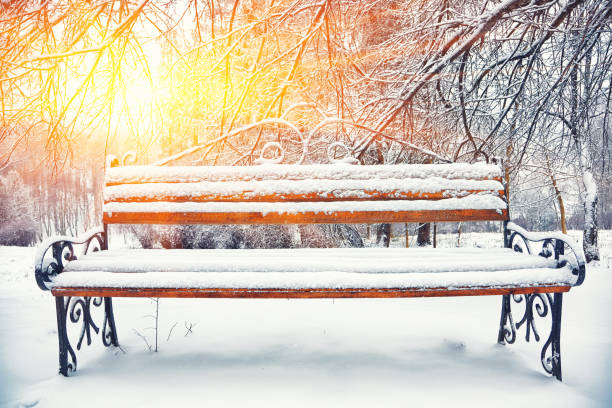 istock Park bench and trees covered by heavy snow 641269666
