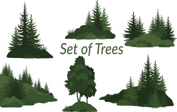 Landscapes with Trees Silhouettes Set Landscapes, Isolated on White Background Green Silhouettes Coniferous and Deciduous Trees and Grass on the Rocks. Vector. coniferous tree illustrations stock illustrations