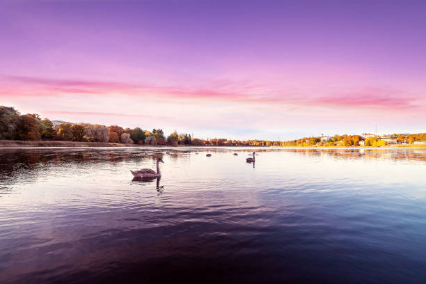 istock Sunset over beautiful relaxing landscape 641276952