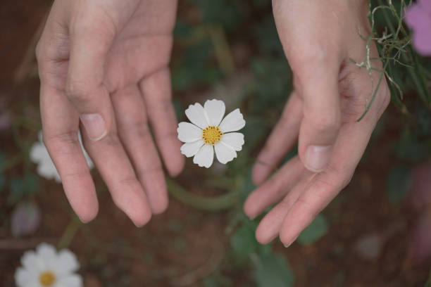 istock woman hand hold flower 641279148