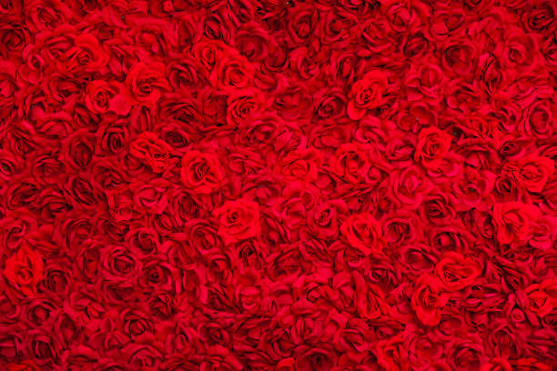 istock Carpet of roses backgound 641281100
