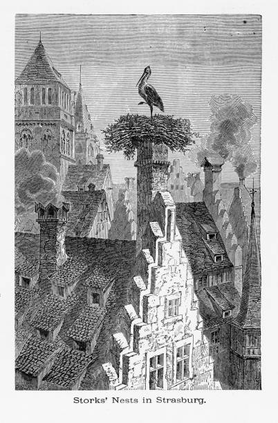 1887 年頃ストラスバーグ、ストラスブール、ドイツで煙突の上に営巣するコウノトリ - 15th street点のイラスト素材／クリップアート素材／マンガ素材／アイコン素材
