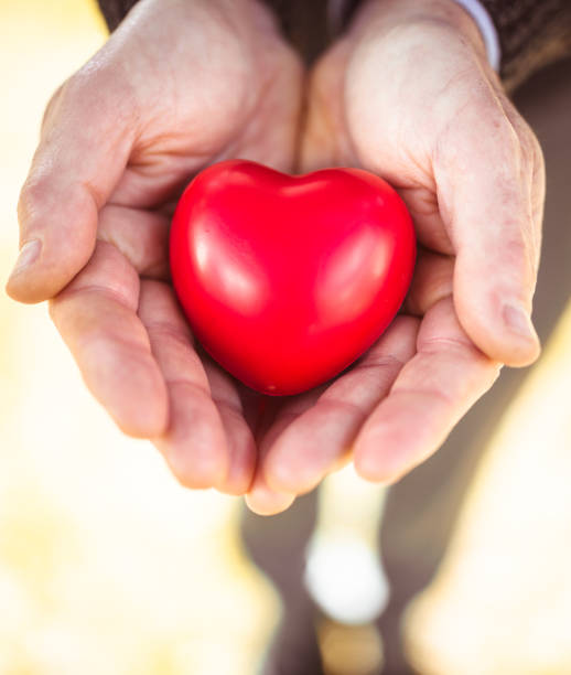 istock holding an heart shape for st. valentine 641281938