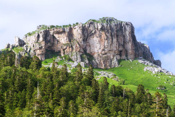 istock Beautiful valley in the Caucasus mountains 641281968