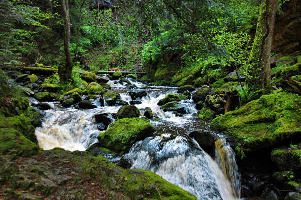 istock waterfall in the Black Forest in Germany 641289224