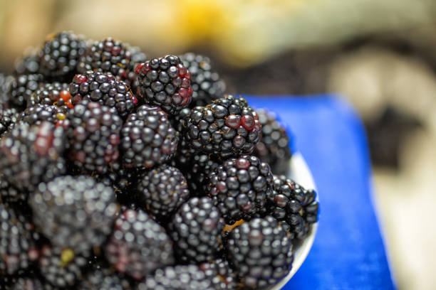 istock Freshly collected blackberries on a white platter Selective focus. Horizontal shot. 641292662