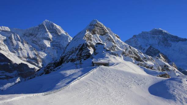 istock Winter landscape in Grindelwald, Swiss Alps 641294010