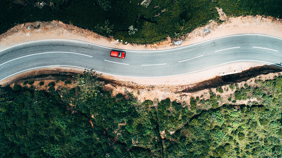 Aerial view on red car on the road near tea plantation
