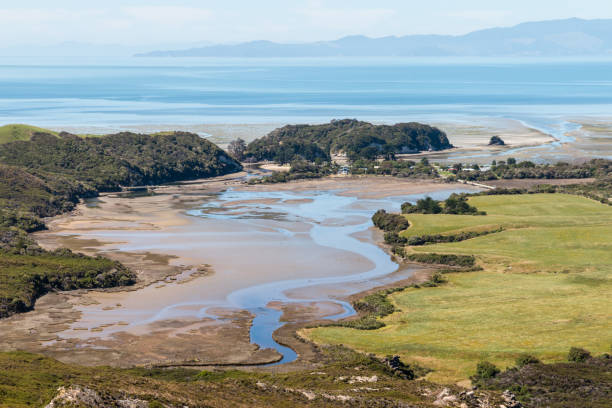 istock river estuary at Puponga in New Zealand 641294908