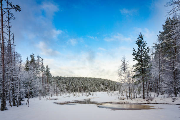 istock Snow covered forest and frozen lake, Hedmark Norway 641295122