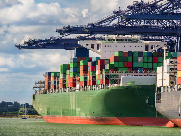 green container ship in the port of felixtowe - east anglia fotos imagens e fotografias de stock