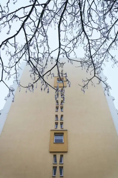 Low angle view of beige wall of modern architecture building with fancy windows and bare tree brunches in snow shot from below. Copy space