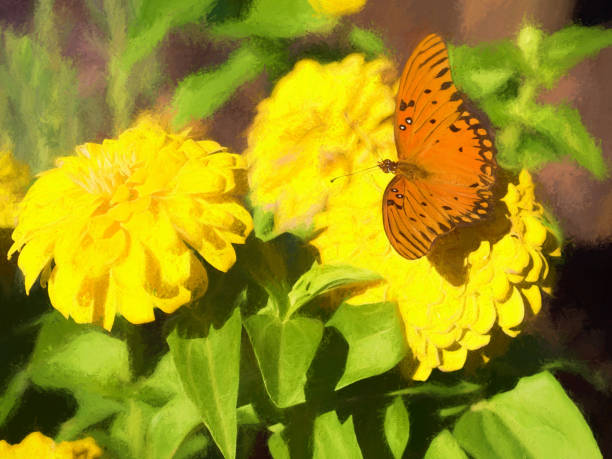 istock Gulf Fritillary Beauty 641296304