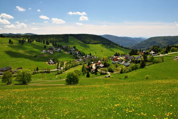 istock beautiful landscape in the Black Forest in Germany 641300754