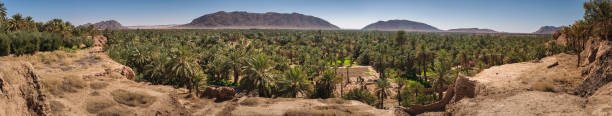 Panoramic view over oasis of date palms, Figuig, Morocco stock photo