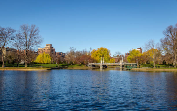 istock Boston Public Garden - Boston, Massachusetts, USA 641301134