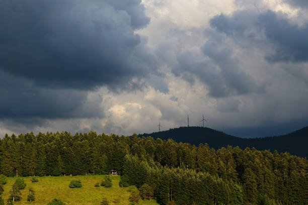hiking through beautiful nature and landscape in the Black Forest in Germany