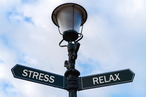 istock Stress versus Relax directional signs on guidepost 641303620