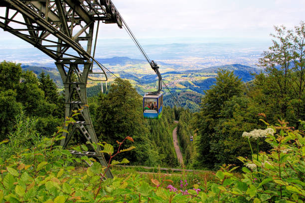 istock Hiking impressions in the Black Forest in Germany 641304982