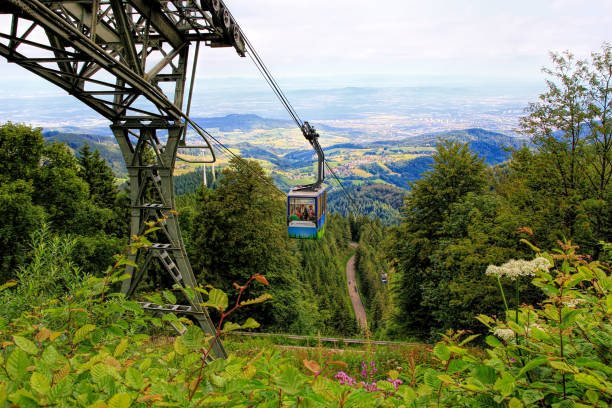 hiking impressions in the black forest in germany - black forest landscape germany forest imagens e fotografias de stock