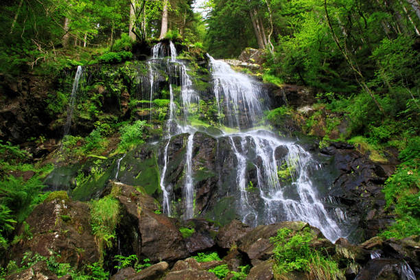 istock waterfall in the Black Forest in Germany 641305636