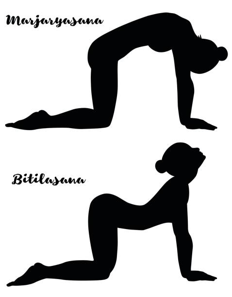 Women silhouette. Cow yoga pose. Bitilasana. Cat yoga pose. Marjaryasana. Women silhouette. Cow yoga pose. Bitilasana. Cat yoga pose. Marjaryasana Vector illustration cat pose yoga stock illustrations