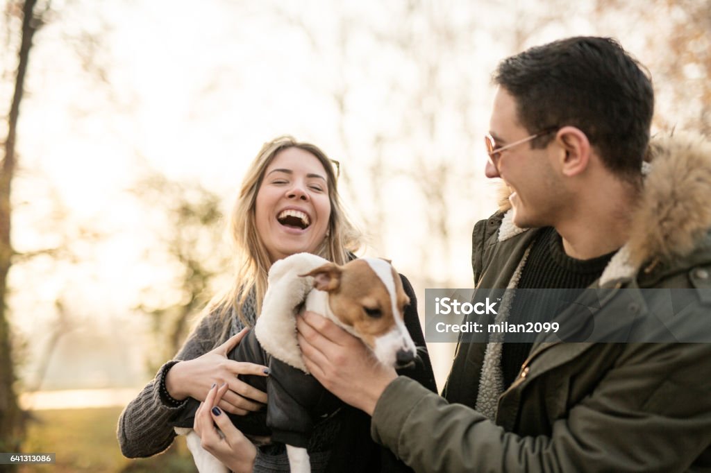 Young couple with their Jack Russell puppy Young couple with their Jack Russell puppy enjoying in the local park Dog Stock Photo