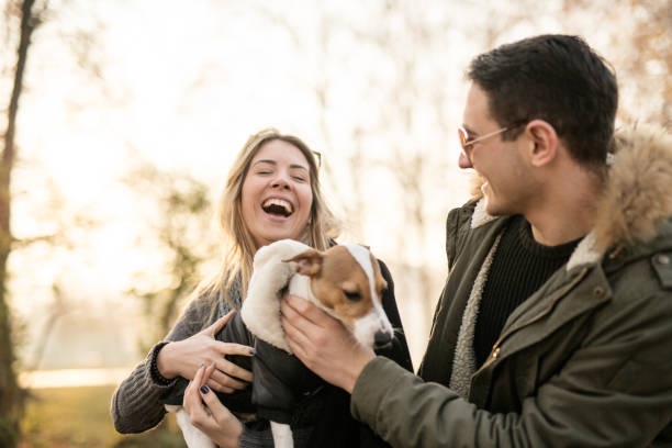 Young couple with their Jack Russell puppy Young couple with their Jack Russell puppy enjoying in the local park park bench photos stock pictures, royalty-free photos & images