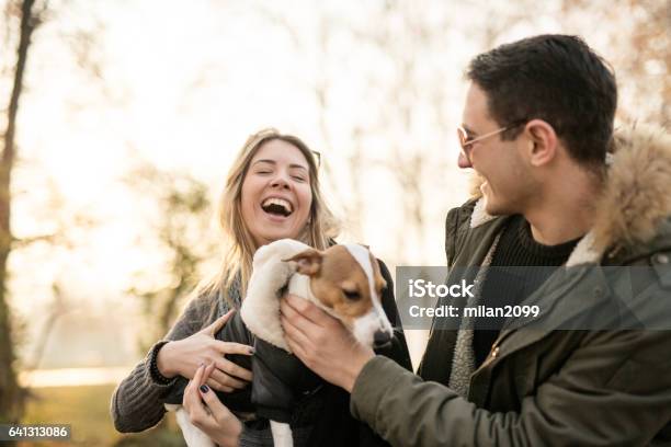 Young Couple With Their Jack Russell Puppy Stock Photo - Download Image Now - Dog, Couple - Relationship, Friendship